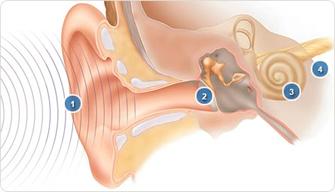 Bone Conduction Hearing System