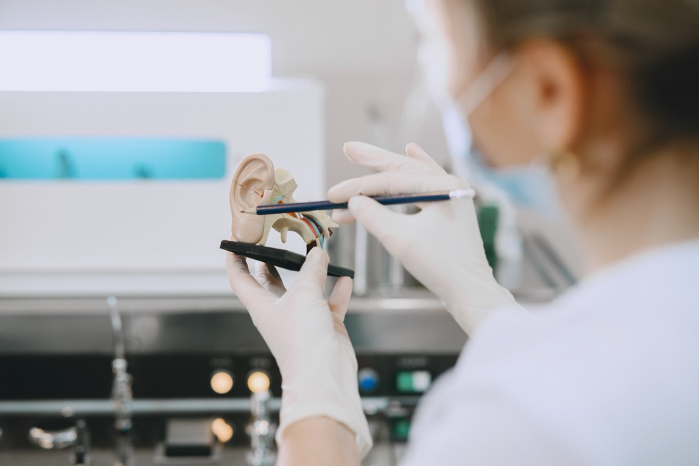 A person wearing gloves points at a model of a human ear with a pencil, likely explaining parts of the ear in a medical or educational setting.